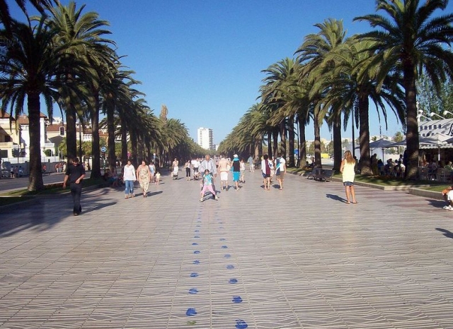  骑自行车游览萨洛 